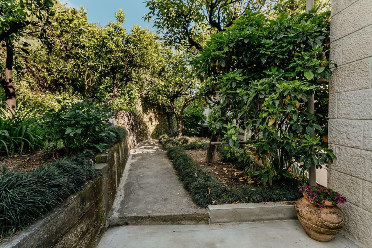 Boka Apartment 4 Herceg Novi Eksteriør billede